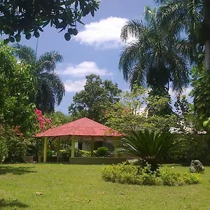Palmares & Eventos Homestay